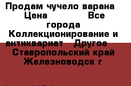 Продам чучело варана. › Цена ­ 15 000 - Все города Коллекционирование и антиквариат » Другое   . Ставропольский край,Железноводск г.